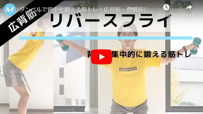 リバースフライ動画