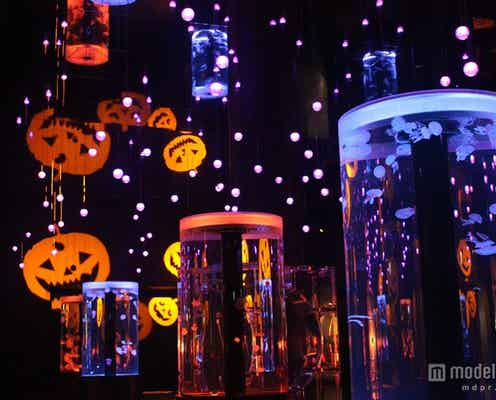 海の世界が楽しいハロウィーン空間に、水族館と最先端テクノロジーが融合