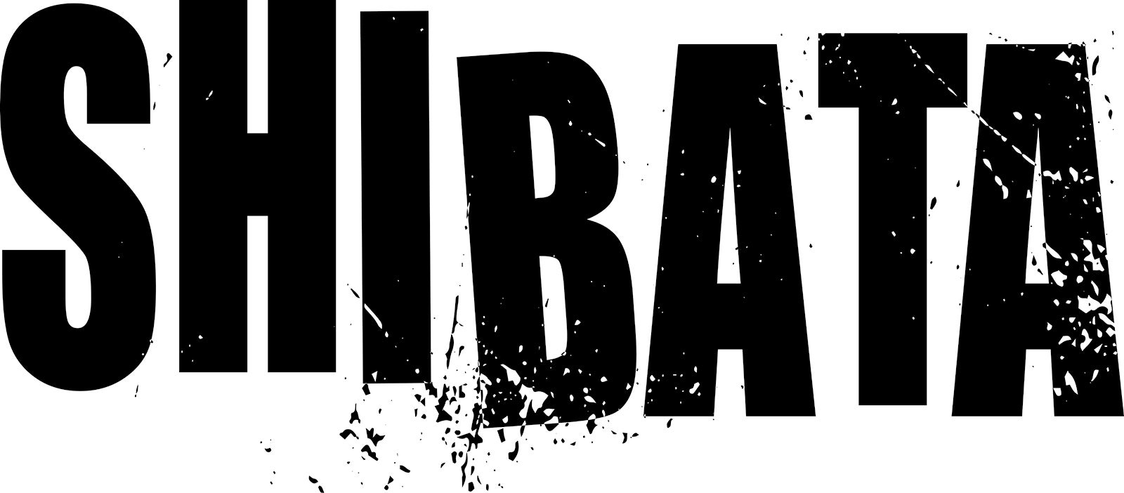 SHIBATAロゴ（C）2024「⼗⼀⼈の賊軍」製作委員会