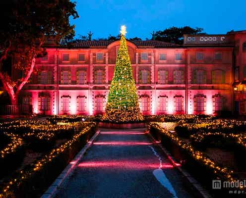 物語の世界に迷い込む、「星の王子さま」の幻想的なプロジェクションマッピング