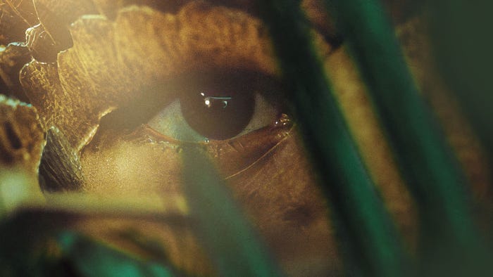 「動物界」(提供写真)