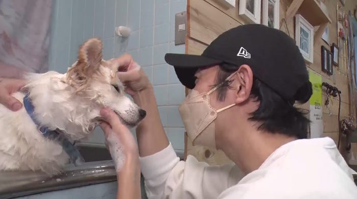 相葉雅紀 (C)日本テレビ