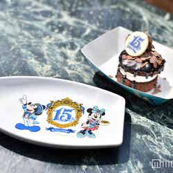 チョコレートケーキ、スーベニアプレート付き750円／（C）Disney