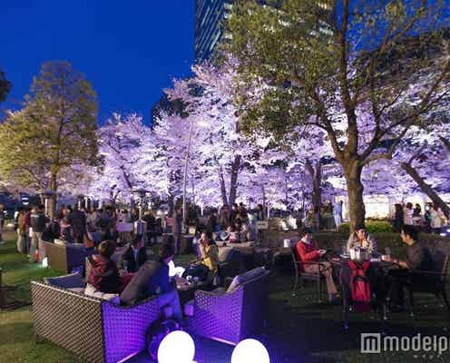 夜桜ライトアップが幻想的♡東京ミッドタウンで楽しむ華やかな春