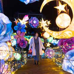 伊豆高原グランイルミ過去の様子/提供画像