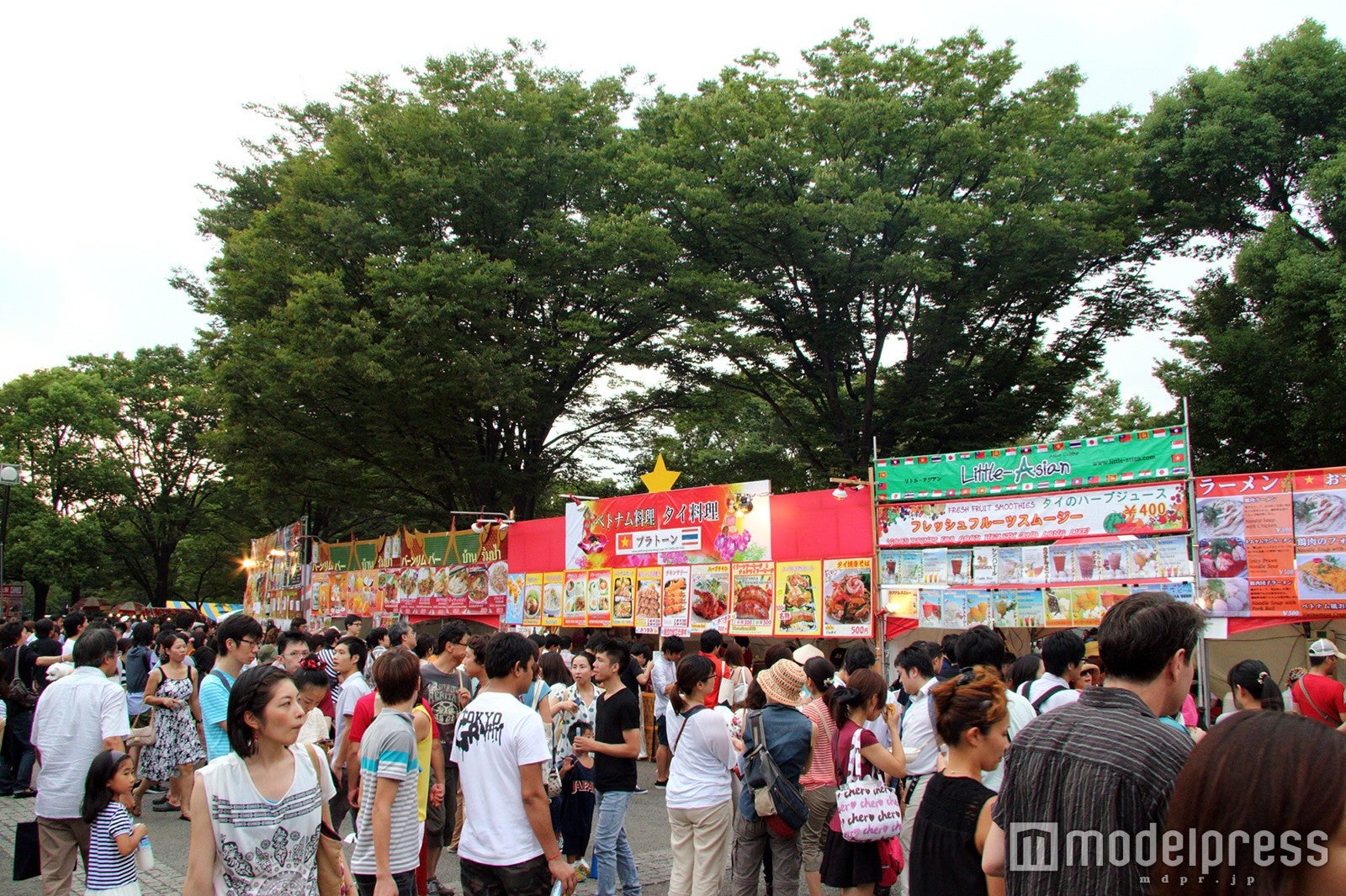 「ベトナムフェスティバル 2015」／画像提供：ベトナムフェスティバル 2016 実行委員会事務局