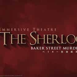 ザ・シャーロック -ベイカー街連続殺人事件-/提供画像