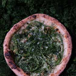 Pizza 4P's/提供画像