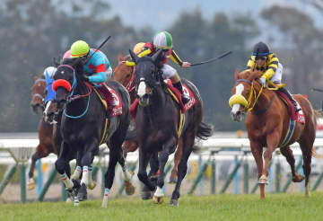 重賞2勝ダンビュライト 腸捻転で急死 22年の阪神大賞典がラストレース