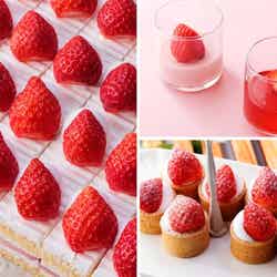 イメージ/提供画像