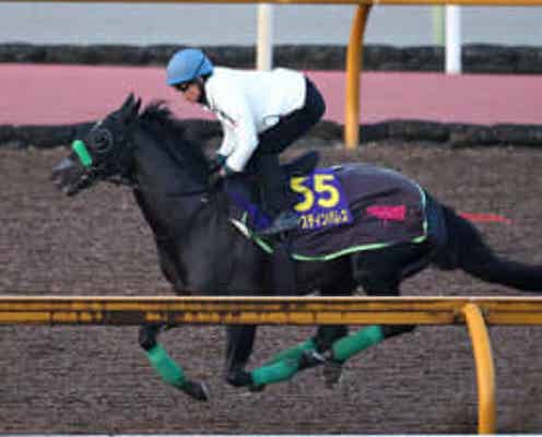 【天皇賞】ジャスティンパレス 6歳でも活気ある走り 杉山晴師「いい状態がずっと続いている」