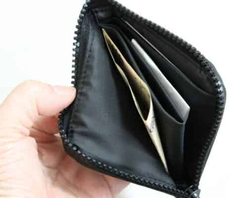 見つけた瞬間即買い!「バッグが軽くなった~!」キャッシュレス派が喜んだ100均の神財布