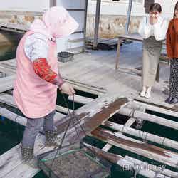 綺麗な海の底で育った貝たちを引き上げます (C)モデルプレス