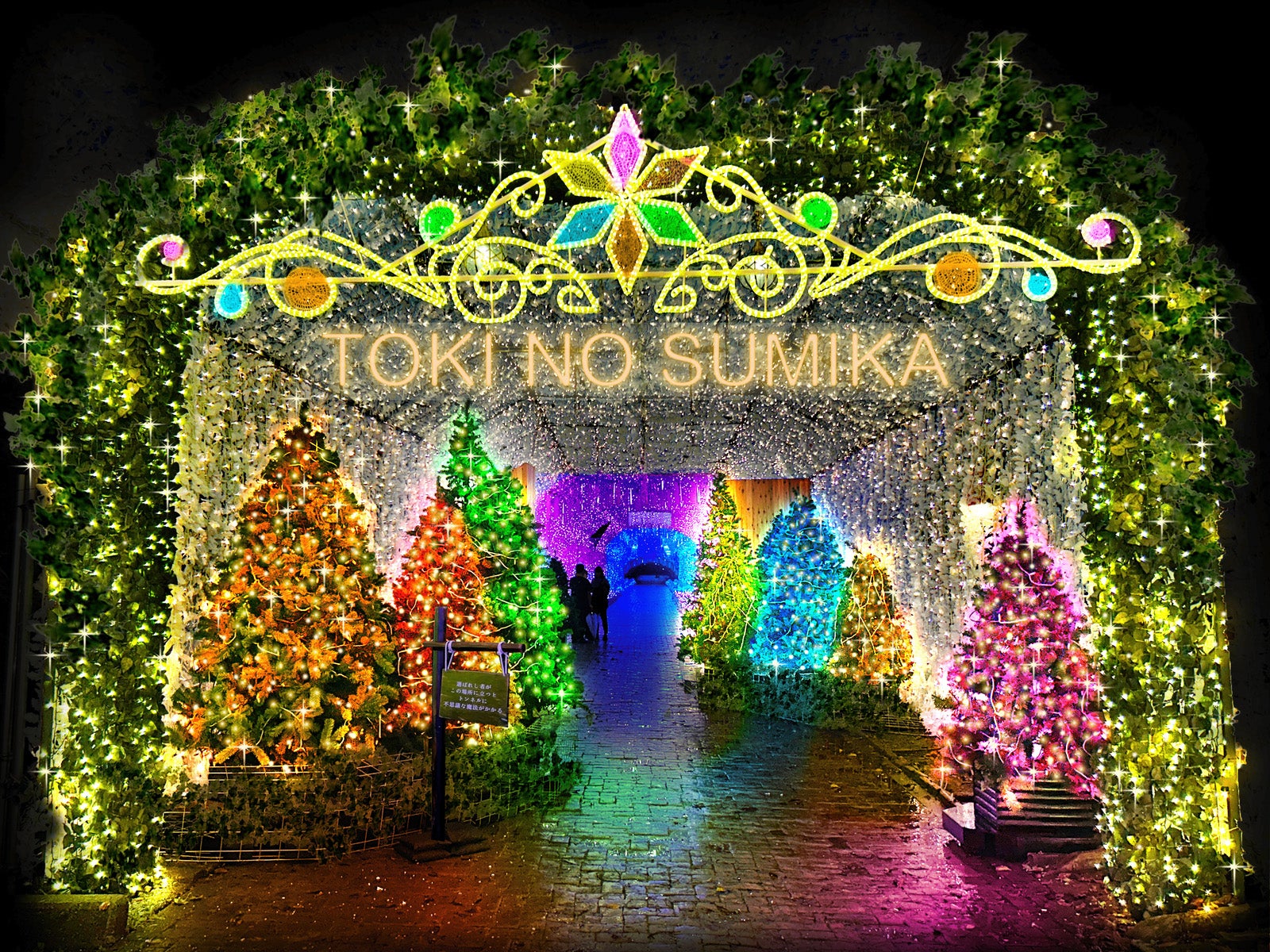 550万球の光が織りなす“魔法の森” 静岡・時之栖でイルミネーション「ひかりのすみか」