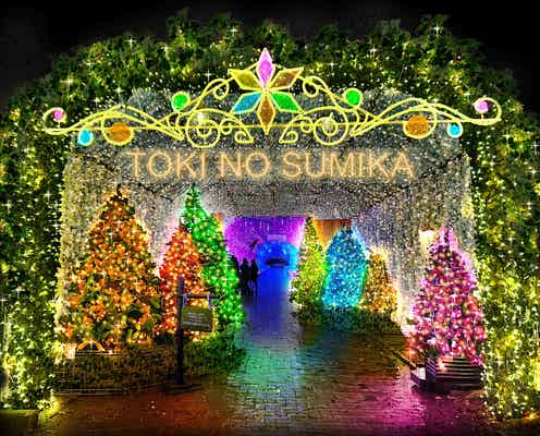 550万球の光が織りなす“魔法の森” 静岡・時之栖でイルミネーション「ひかりのすみか」
