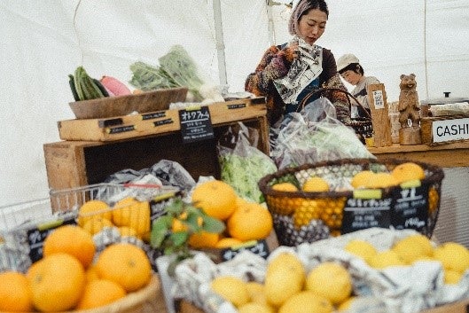 「FUJI＆SUN’25」イメージ画像（提供写真）