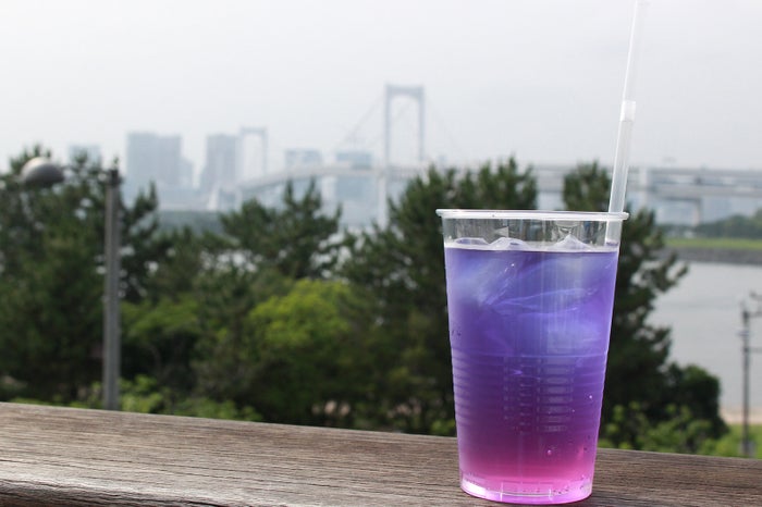 avex dining oasis-エイベックス・ダイニングオアシス-（提供画像）