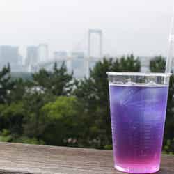 avex dining oasis-エイベックス・ダイニングオアシス-(提供画像)