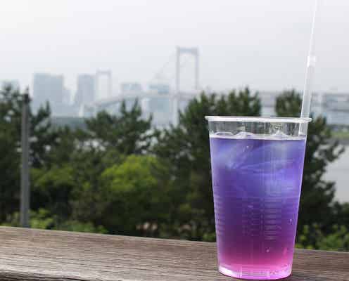 「avex dining oasis」お台場にイケメン店員が接客する食×音楽ダイニング誕生