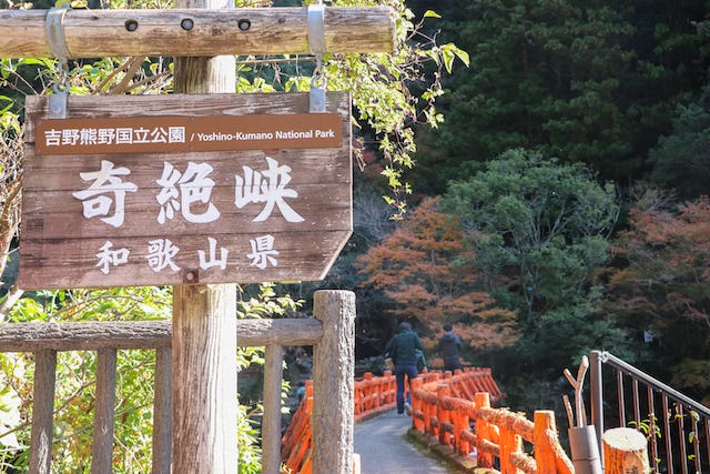 地元ライターおすすめ！大自然の中で紅葉が見られるスポット【和歌山県田辺市】