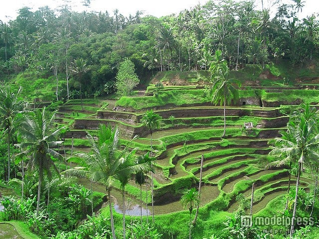バリ・ウブド／photo by Pandu Adnyana