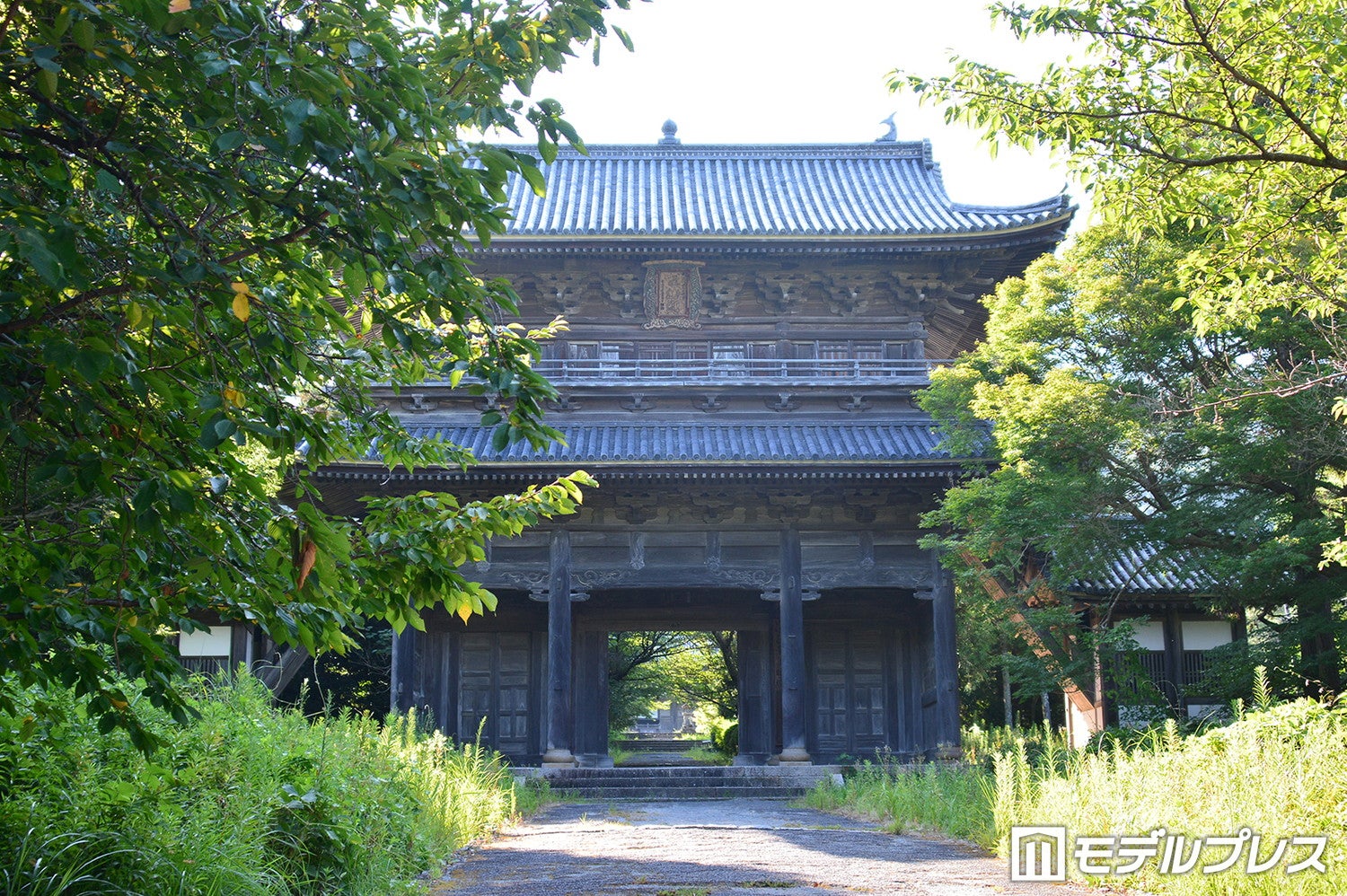 東光寺（C）モデルプレス