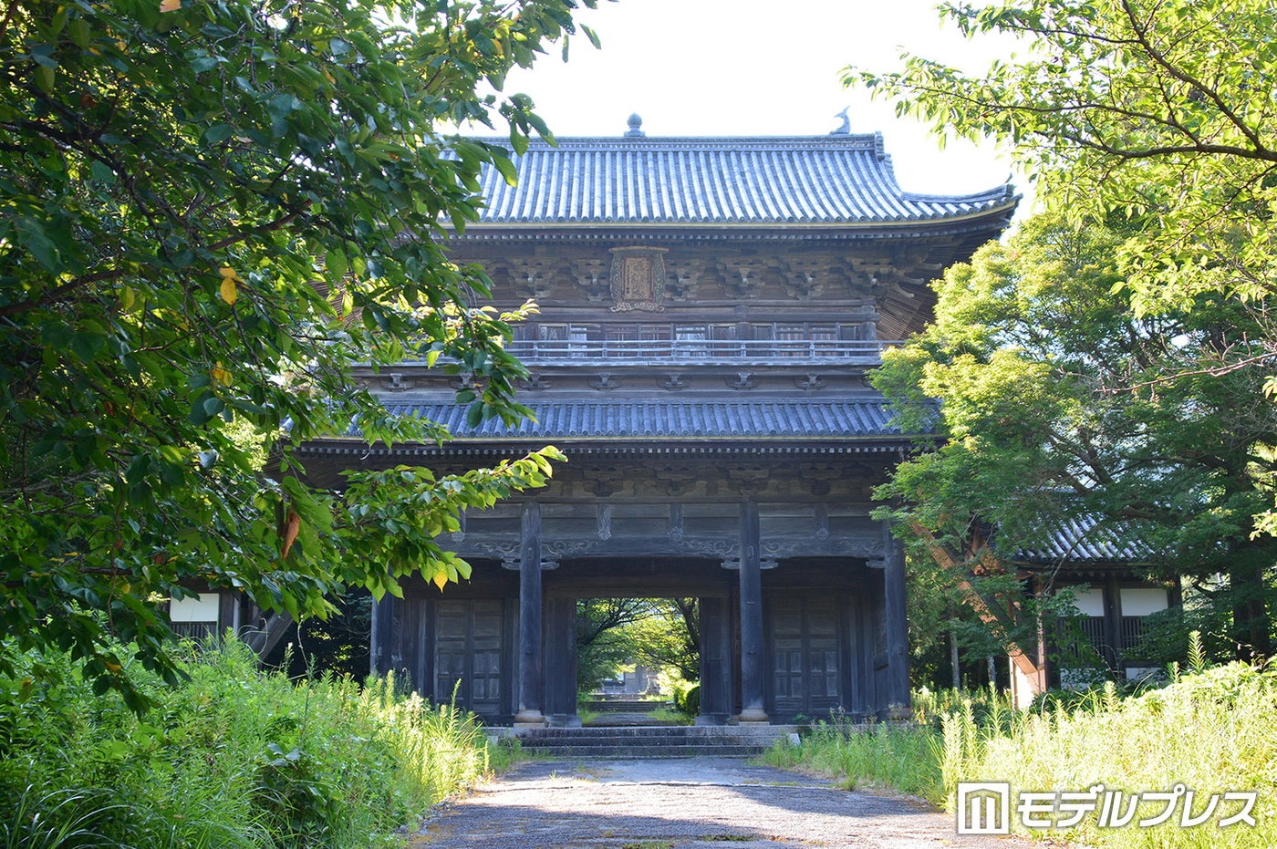 東光寺(C)モデルプレス