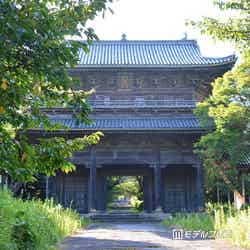 東光寺(C)モデルプレス
