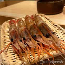 鮨 銀座おのでら フォーシーズンズホテル京都店(C)モデルプレス