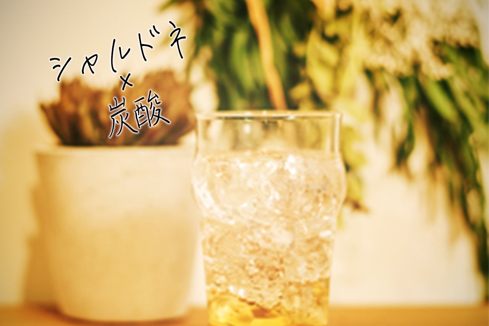 ビネガー×炭酸ですっきりリフレッシュ