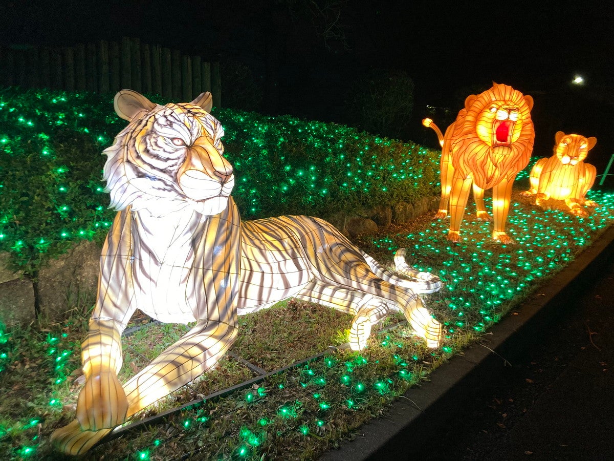 ウインターイルミネーション／画像提供：東武動物公園