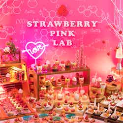 ストロベリーデザートビュッフェ~Pink Lab~/画像提供:ANAクラウンプラザホテル福岡