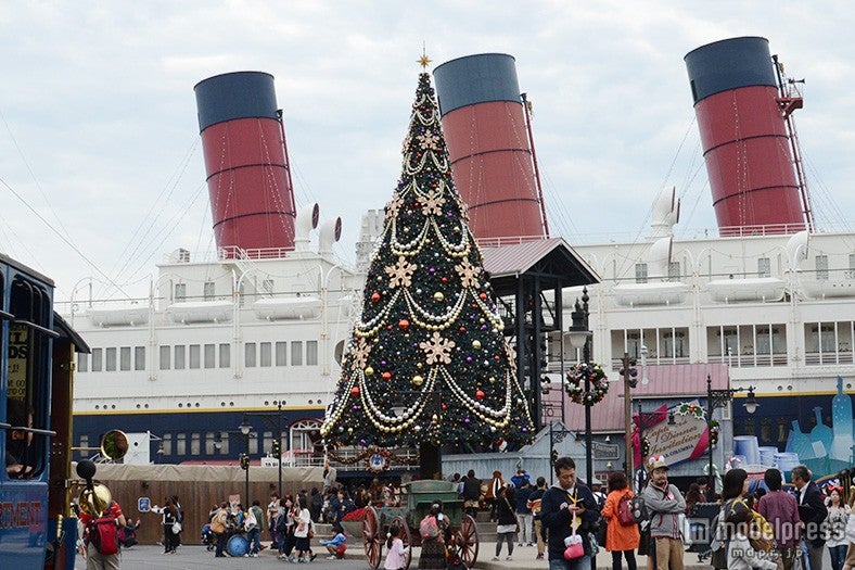 S．S．コロンビア号の前のツリー
