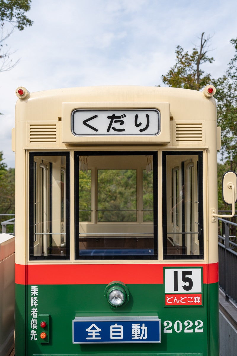 どんどこ森（C）Studio Ghibli