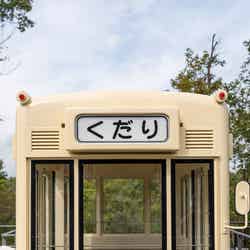 どんどこ森(C)Studio Ghibli