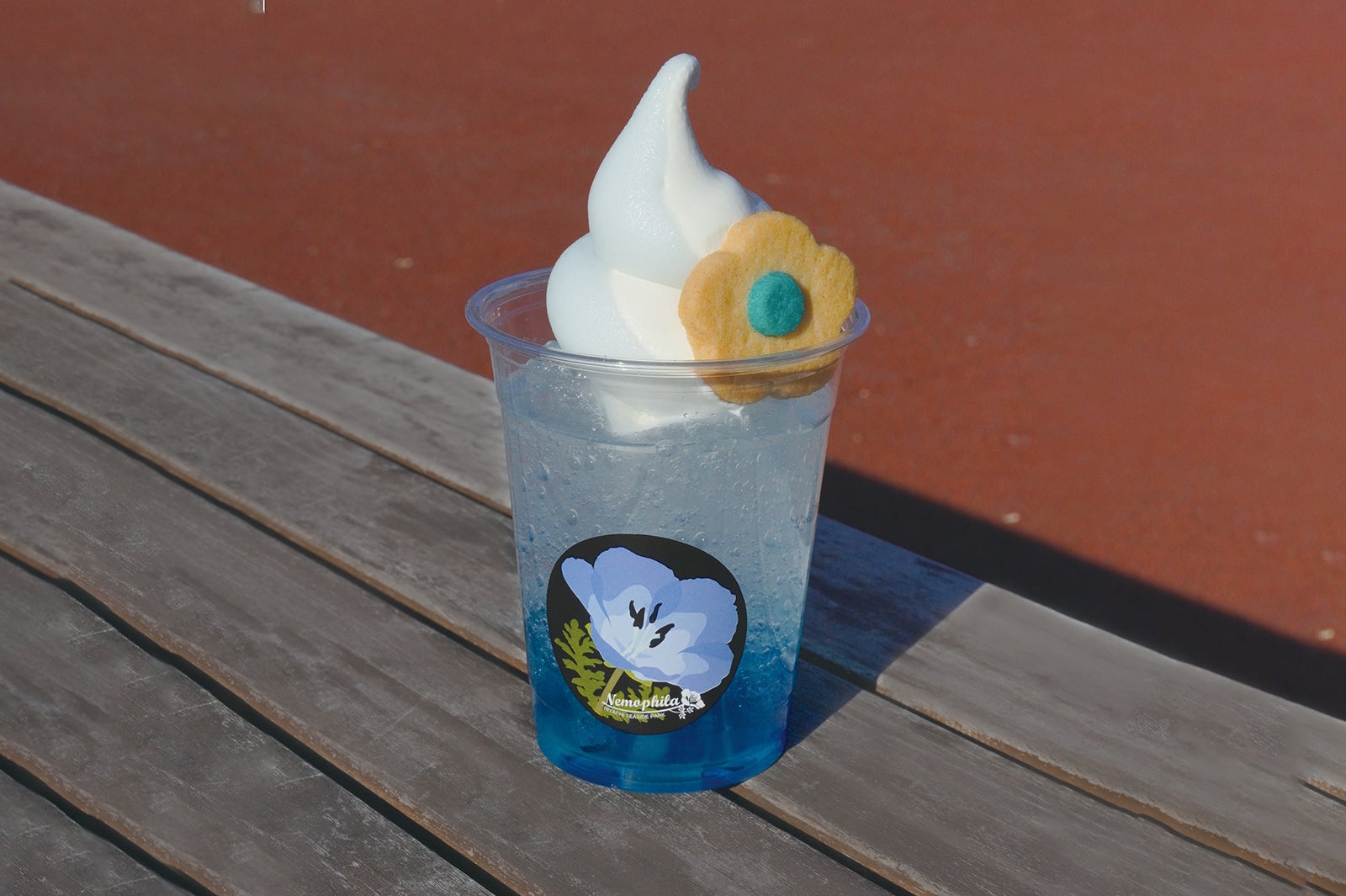 国営ひたち海浜公園／提供画像