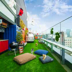 DOG RUN & BBQ Beer Garden/提供画像