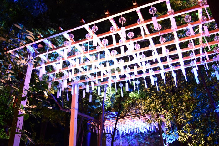 昼は澄んだ美しさ、夜は幻想的な輝き／画像提供：川越氷川神社