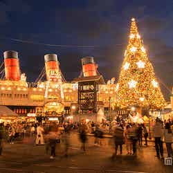 ディズニークリスマス、光り輝くロマンティックなパークの楽しみ方／（C）Disney【モデルプレス】