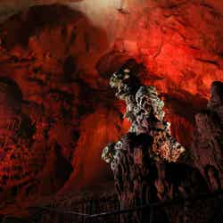 横から見た巌窟王/提供画像