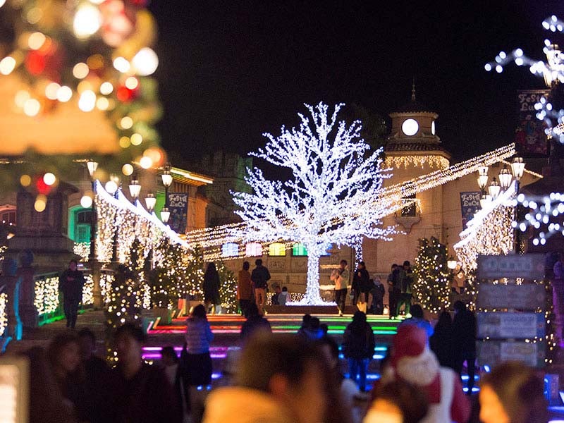 イルミネーション／画像提供：タカショー