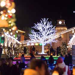 イルミネーション/画像提供:タカショー