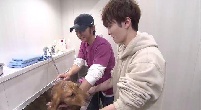 相葉雅紀、渡辺翔太（C）日本テレビ