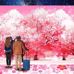 「ILLUSION DOME」イメージ