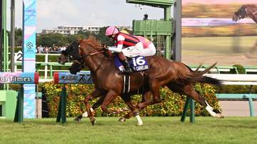 25年スプリンターズS覇者ウインカーネリアンが引退、種牡馬入り 鹿戸師「カーネリアンの子どもでG1に挑戦できればうれしい」