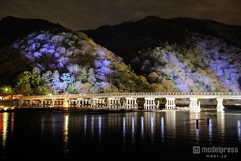 嵯峨・嵐山周辺が華やかライトアップ 「灯り」と「花」で彩られた散策路も登場