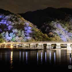 「京都・嵐山花灯路」／「渡月橋周辺ライトアップ」過去開催時の様子写真提供：京都・花灯路推進協議会
