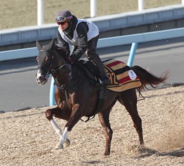 【京成杯】グリーンエナジー “静”の調整に上原佑師も納得 初勝利からいきなり重賞へ「それだけの素質はある。クラッシックに乗せたい」