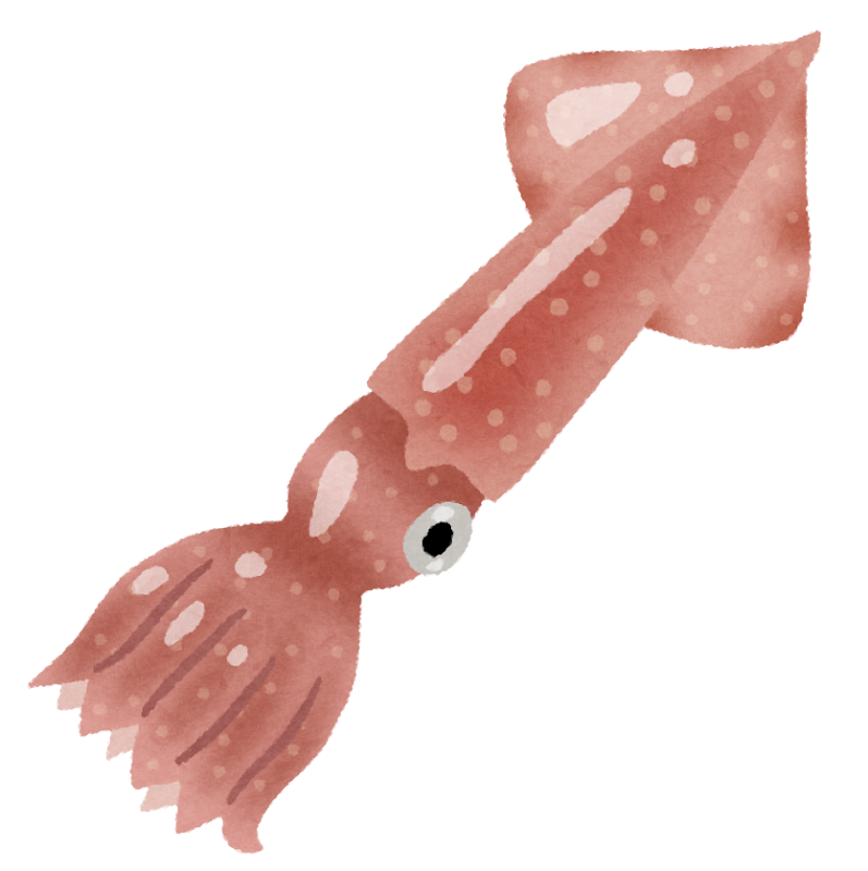 イカのイラスト