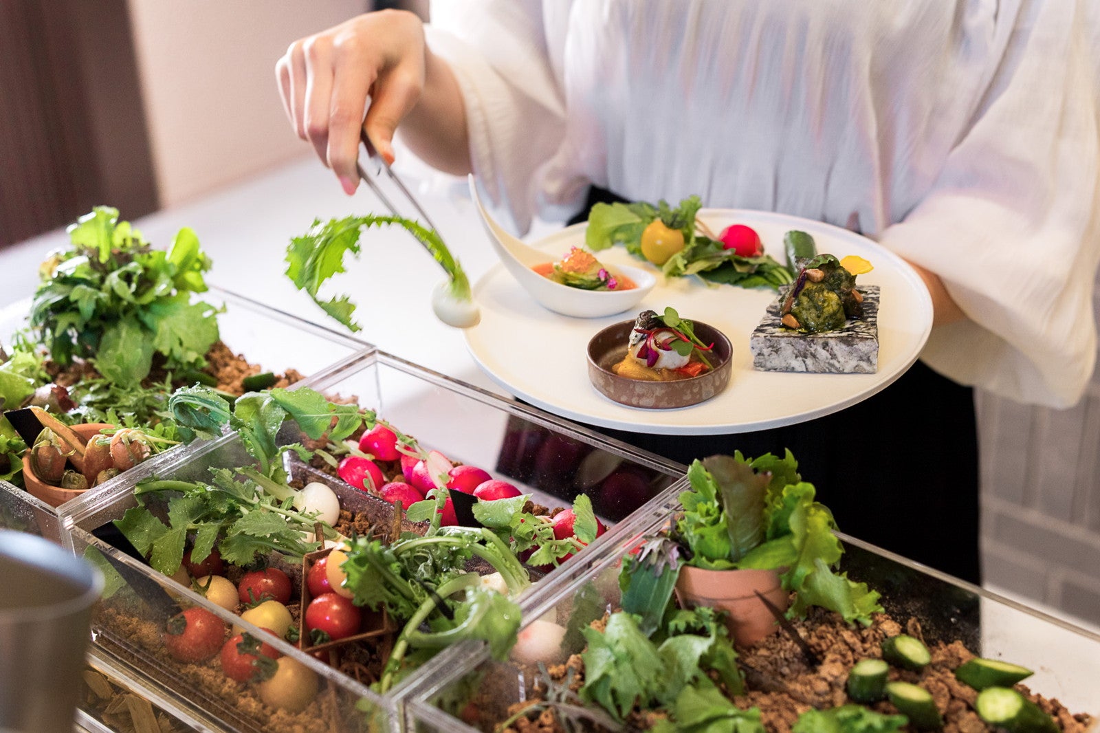 nol hakone myojindai／提供画像